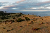Tasmania - Maria Island o7430